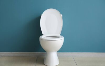 GFK Betrachtungen einer Toilettenschüssel